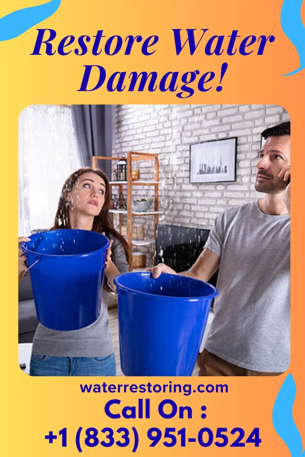 water restoration Classic Water Repair Partners Bloomdale