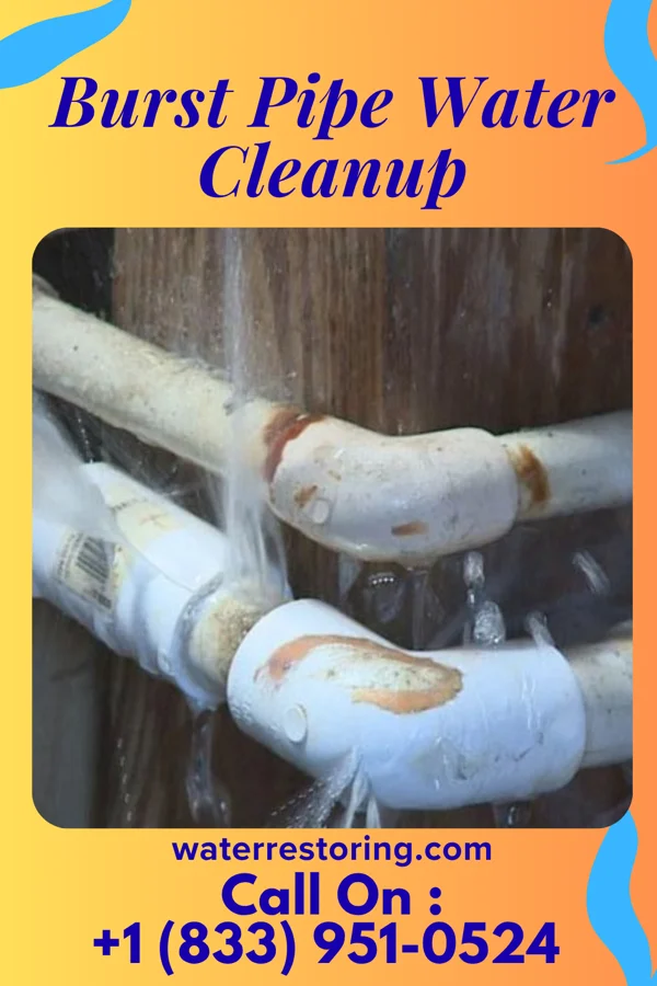Burst Pipe Water Cleanup in Bloomdale, OH
