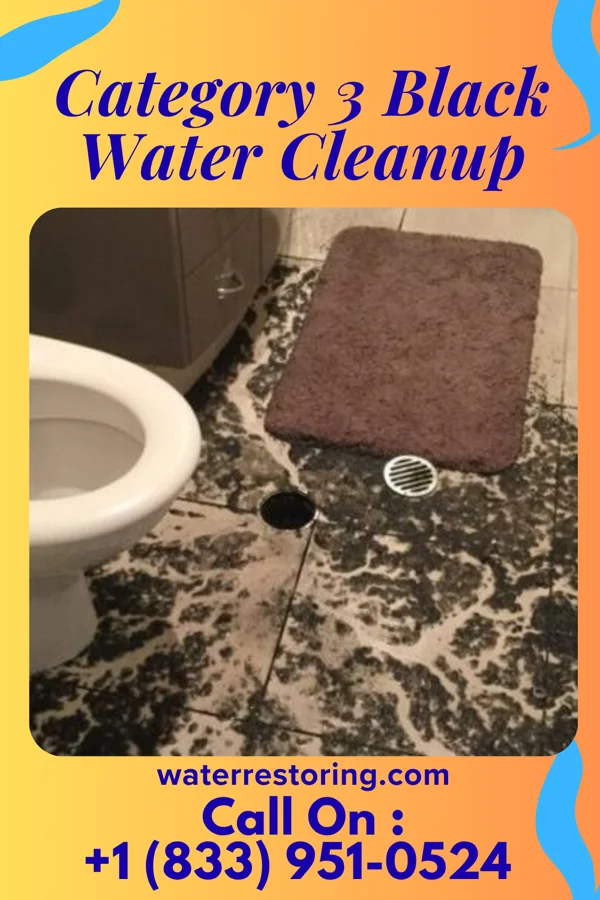 Category 3 Black Water Cleanup in Bloomdale, OH