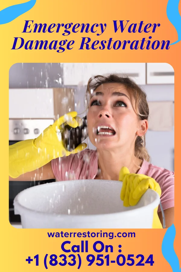 Emergency Water Damage Restoration in Bloomdale, OH
