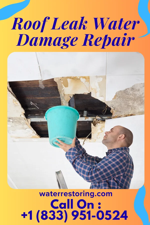 Roof Leak Water Damage Repair in Bloomdale, OH