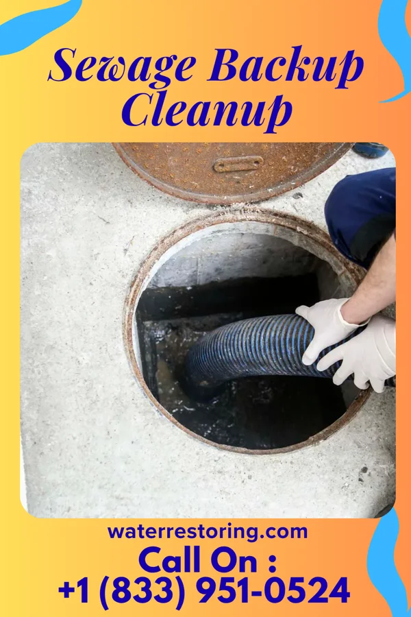 Sewage Backup Cleanup in Bloomdale, OH