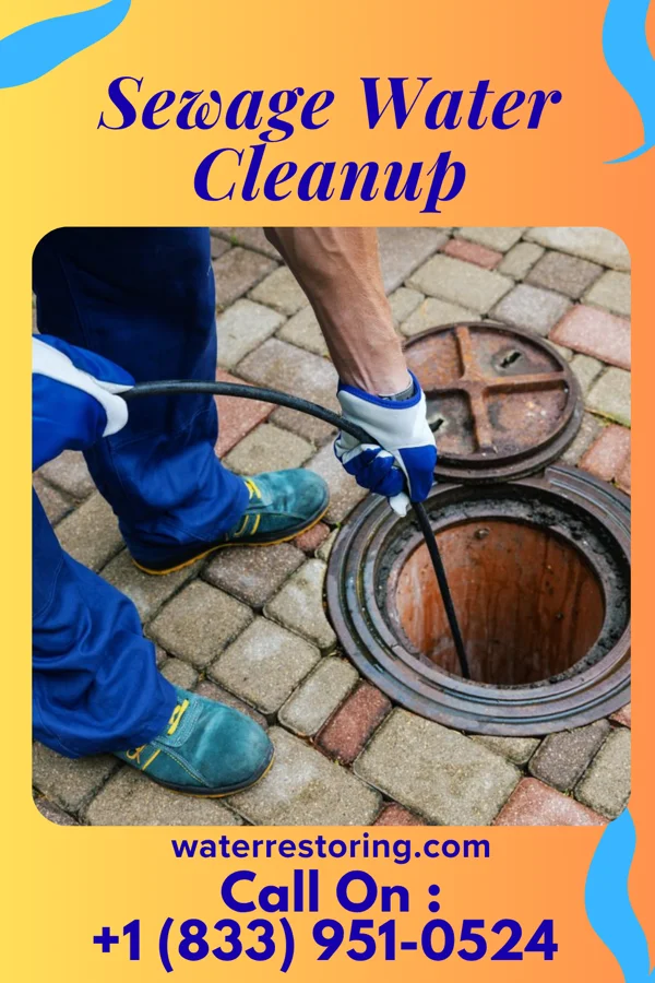 Sewage Water Cleanup in Bloomdale, OH